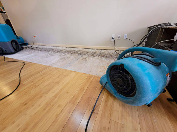 Professional Structural Drying technician working in Willernie, MN